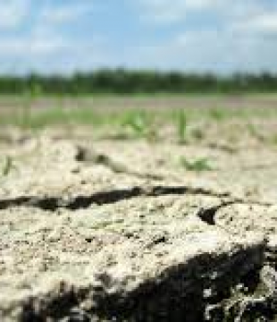 OGŁOSZENIE ws. przyjmowania wniosków rolników o szacowanie strat powstałych przez suszę